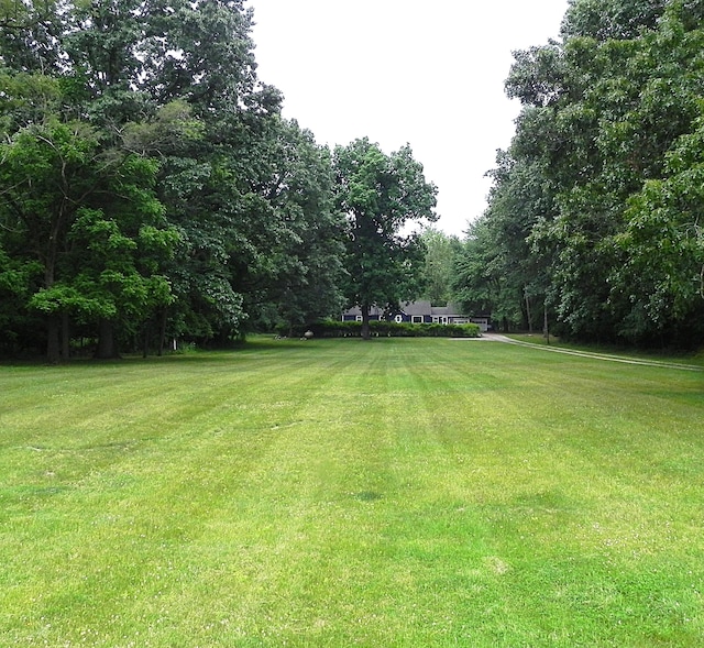 27869 M-60, Mendon, MI 49072 - view of grassy yard