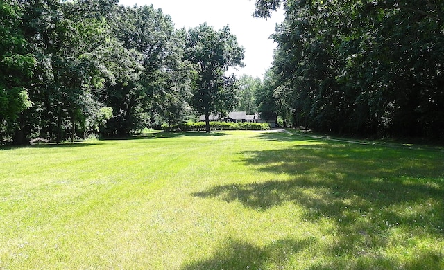 27869 M-60, Mendon, MI 49072 - view of grassy yard