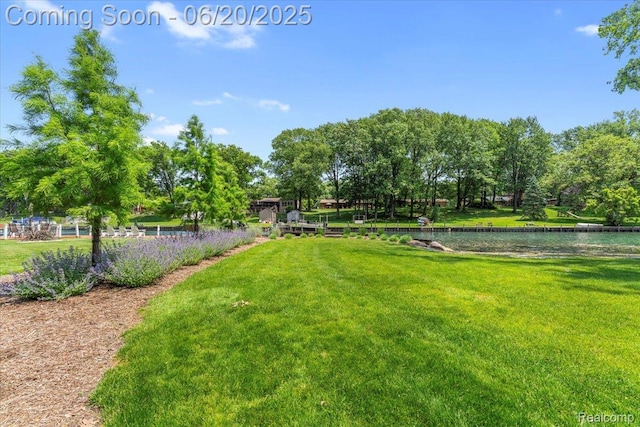 21089 Thorofare Rd, Grosse Ile, MI 48138 - view of green lawn