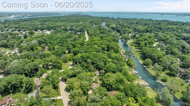 21089 Thorofare Rd, Grosse Ile, MI 48138 - aerial view of property and surrounding area with a large body of water and a forest
