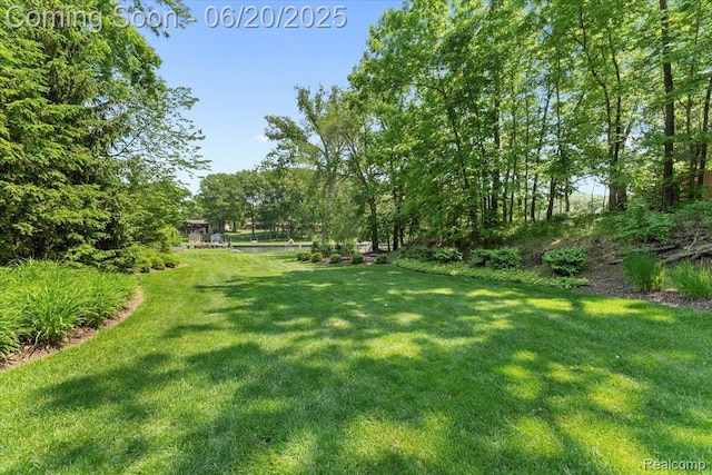 21089 Thorofare Rd, Grosse Ile, MI 48138 - view of grassy yard