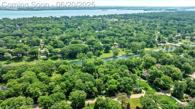 21089 Thorofare Rd, Grosse Ile, MI 48138 - aerial view of a nearby body of water