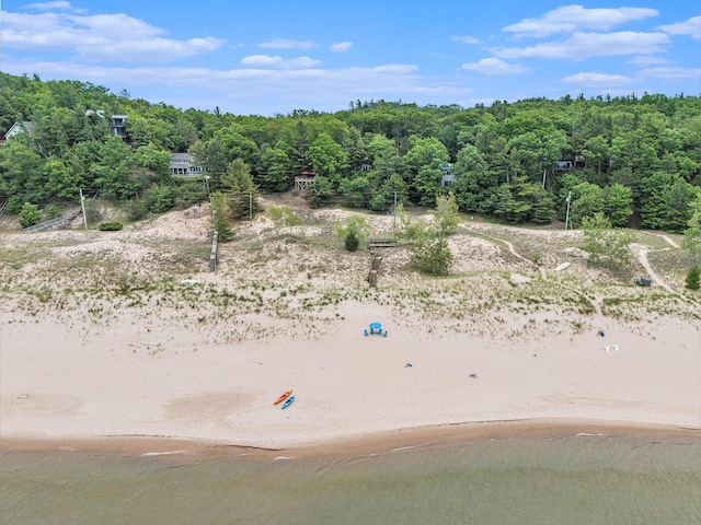 8641 N Perry Ave, Pentwater, MI 49449 - drone / aerial view