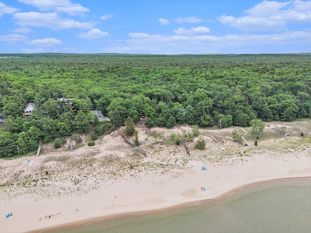 8641 N Perry Ave, Pentwater, MI 49449 - aerial view of property's location with a heavily wooded area