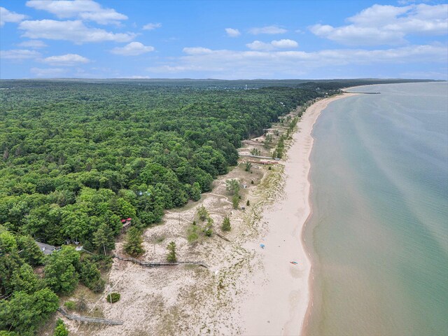 8641 N Perry Ave, Pentwater, MI 49449 - bird's eye view of a forest and expansive coastline