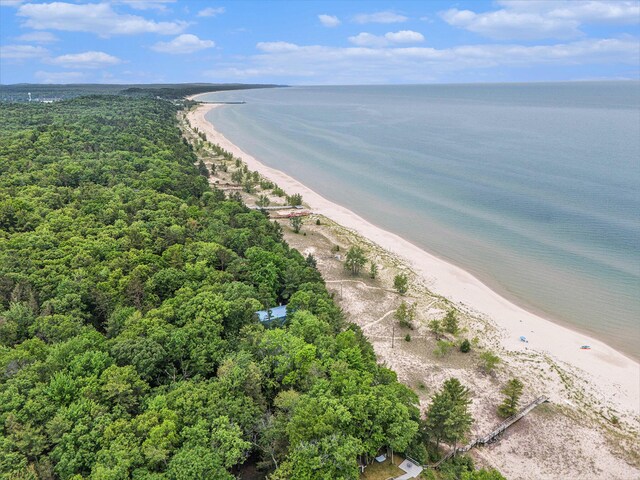 8641 N Perry Ave, Pentwater, MI 49449 - drone / aerial view of extended coastline