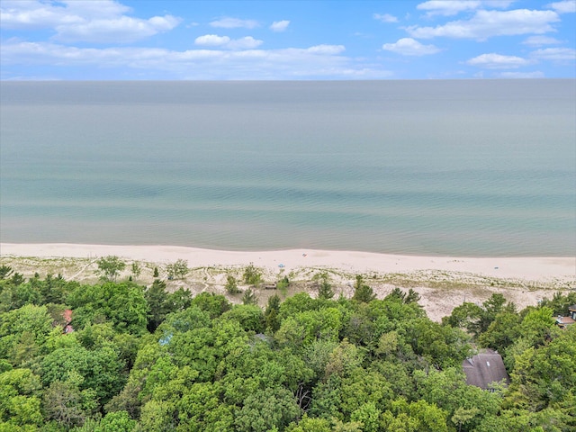 8641 N Perry Ave, Pentwater, MI 49449 - water view featuring local beach