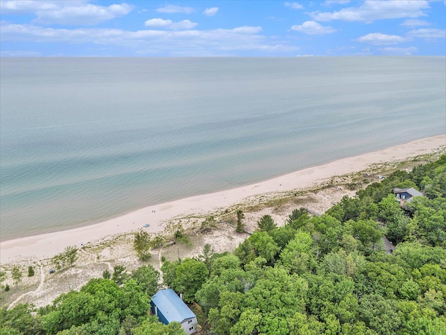 8641 N Perry Ave, Pentwater, MI 49449 - drone / aerial view of extended coastline