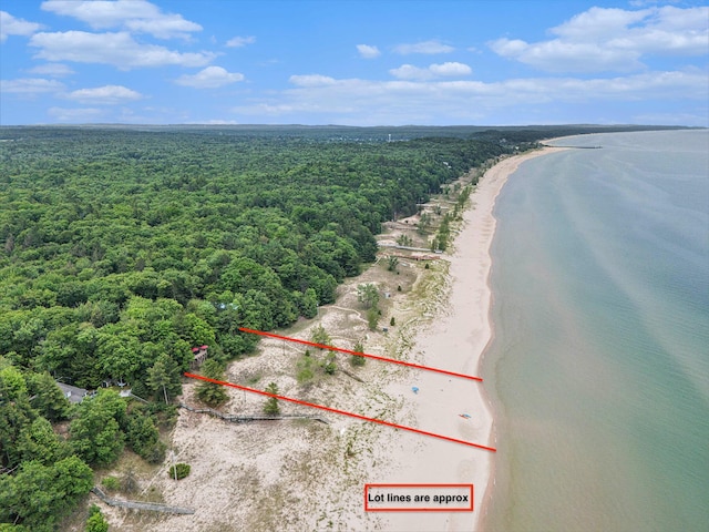 8641 N Perry Ave, Pentwater, MI 49449 - aerial view of property and surrounding area with a heavily wooded area and property boundaries highlighted