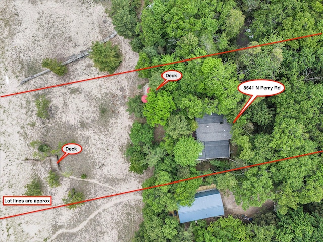 8641 N Perry Ave, Pentwater, MI 49449 - aerial view of property's location featuring property parcel outlined