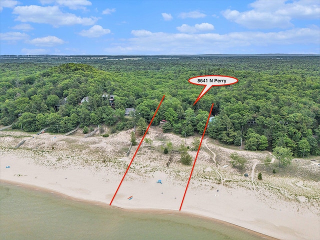8641 N Perry Ave, Pentwater, MI 49449 - bird's eye view of a forest