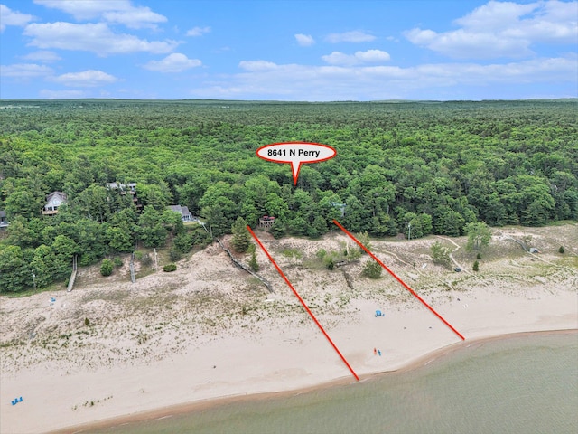 8641 N Perry Ave, Pentwater, MI 49449 - aerial overview of property's location featuring a forest