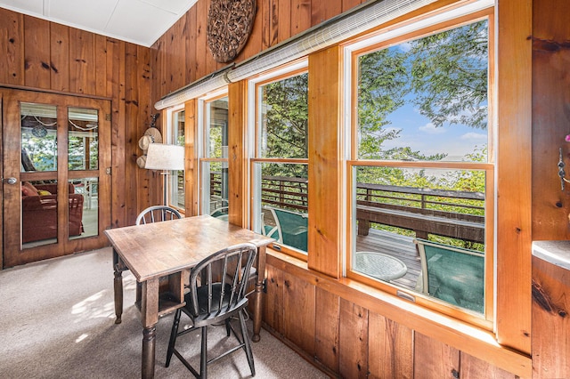 8641 N Perry Ave, Pentwater, MI 49449 - sunroom / solarium with wood walls and carpet floors