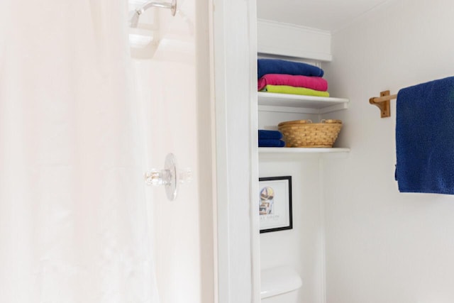 8641 N Perry Ave, Pentwater, MI 49449 - bathroom with ornamental molding and a shower with curtain