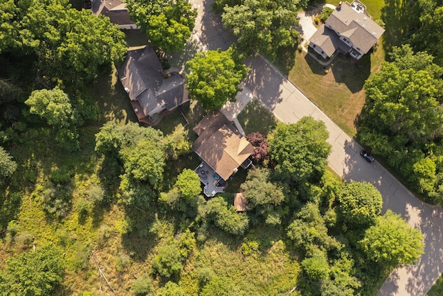5893 Mary King Dr, Jackson, MI 49201 - photo 66