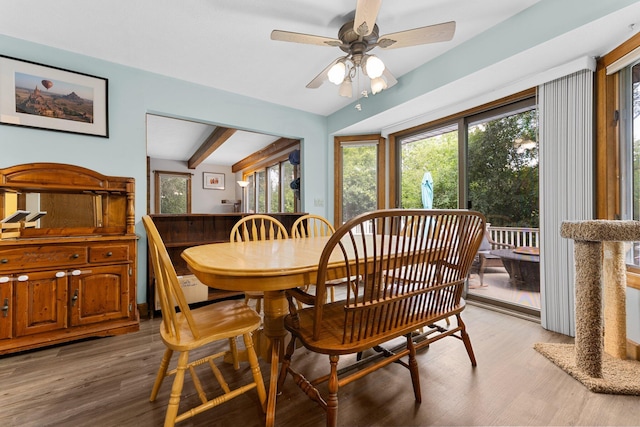 5893 Mary King Dr, Jackson, MI 49201 - photo 15