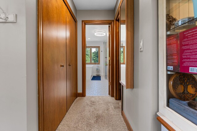 5893 Mary King Dr, Jackson, MI 49201 - photo 38