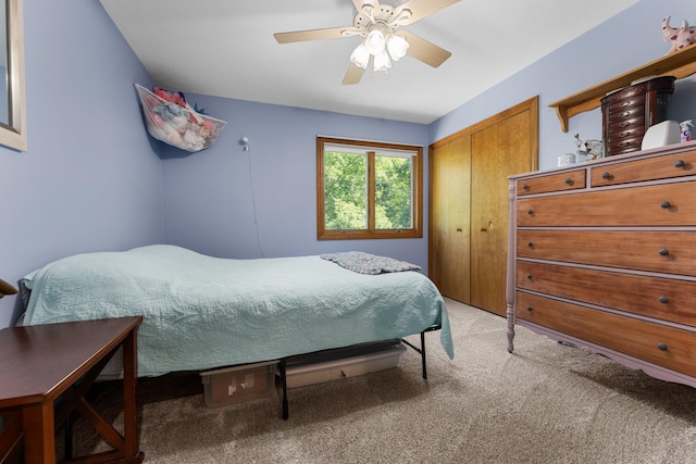 5893 Mary King Dr, Jackson, MI 49201 - photo 40