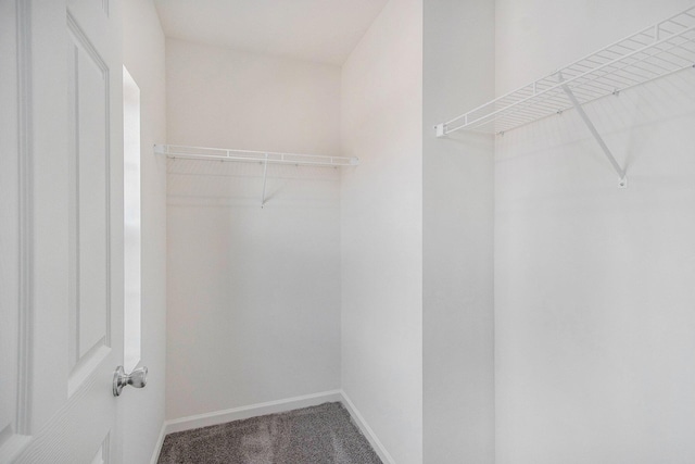 5698 Landrum Trl, Portage, MI 49024 - spacious closet featuring carpet flooring