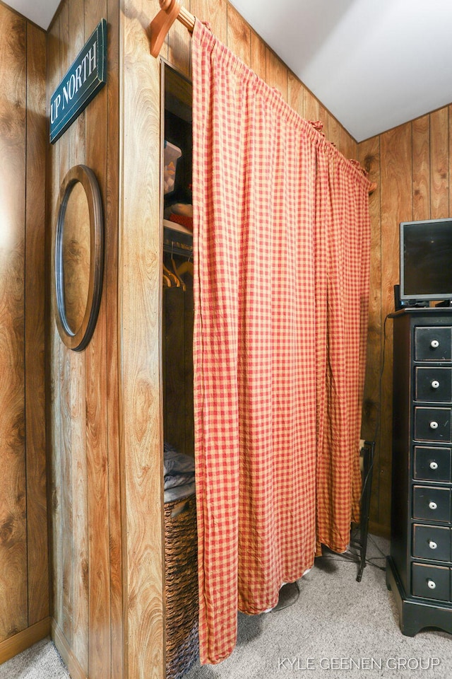 9210/9228 S Star Lake Dr, Baldwin, MI 49304 - detailed view of carpet and wooden walls