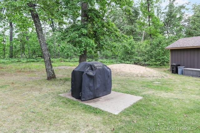 9210/9228 S Star Lake Dr, Baldwin, MI 49304 - view of grassy yard