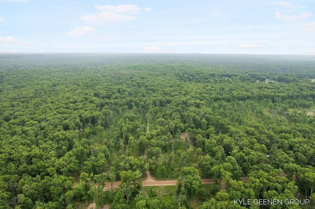 9210/9228 S Star Lake Dr, Baldwin, MI 49304 - aerial view of a heavily wooded area