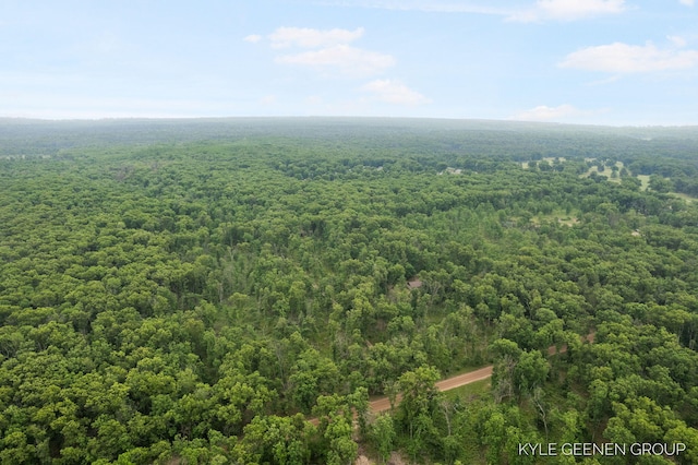 9210/9228 S Star Lake Dr, Baldwin, MI 49304 - bird's eye view of a forest