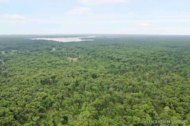 9210/9228 S Star Lake Dr, Baldwin, MI 49304 - drone / aerial view of a forest and a nearby body of water