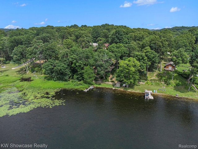 332 Community Dr, Battle Creek, MI 49014 - aerial view of property and surrounding area with a large body of water