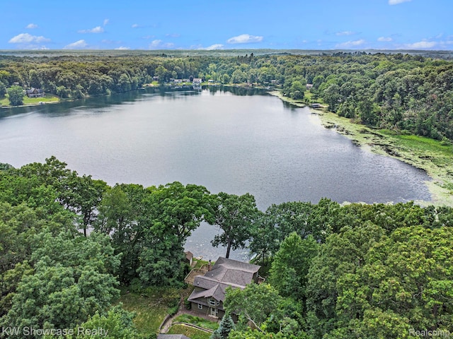 332 Community Dr, Battle Creek, MI 49014 - aerial view of a large body of water