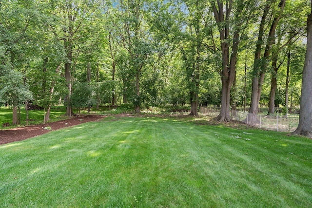 2062 Wildwood Trl, Saline, MI 48176 - view of yard