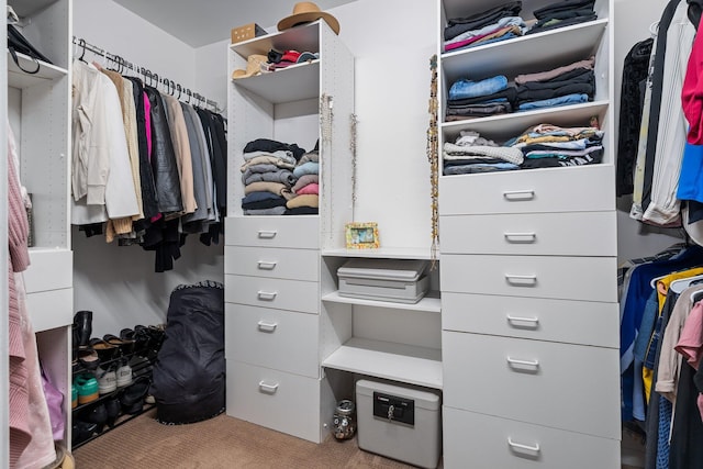 2062 Wildwood Trl, Saline, MI 48176 - walk in closet featuring carpet flooring