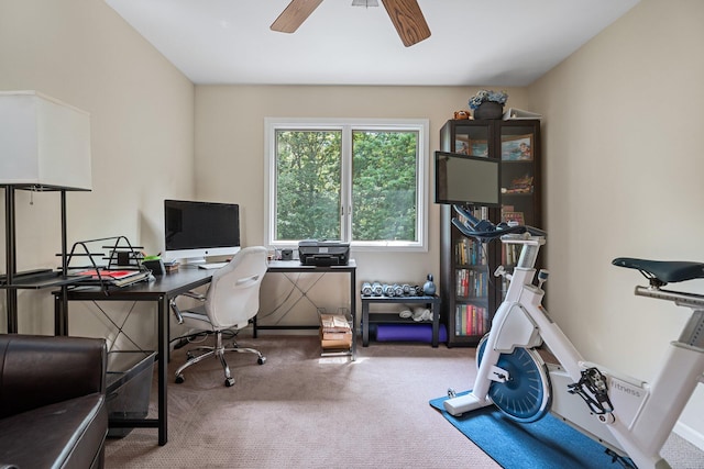 2062 Wildwood Trl, Saline, MI 48176 - carpeted office space with ceiling fan