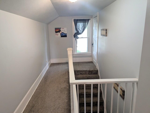 128 E Walnut St, Hastings, MI 49058 - stairway featuring carpet floors and lofted ceiling