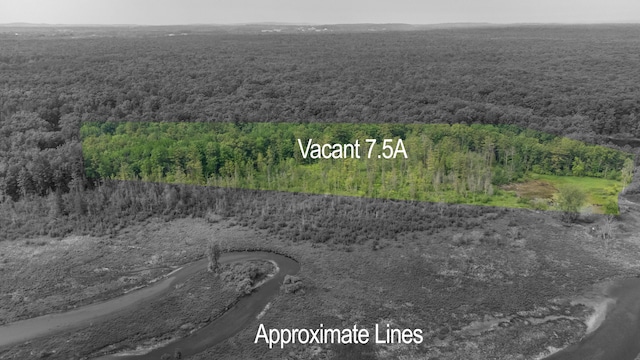 5774 N Wayne Ave, Pentwater, MI 49449 - drone / aerial view of a forest