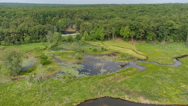 5774 N Wayne Ave, Pentwater, MI 49449 - aerial view of a heavily wooded area and a nearby body of water