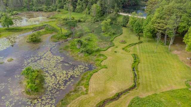 5774 N Wayne Ave, Pentwater, MI 49449 - aerial view of property's location with a nearby body of water