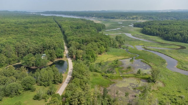 5774 N Wayne Ave, Pentwater, MI 49449 - view of property location featuring a nearby body of water and a heavily wooded area