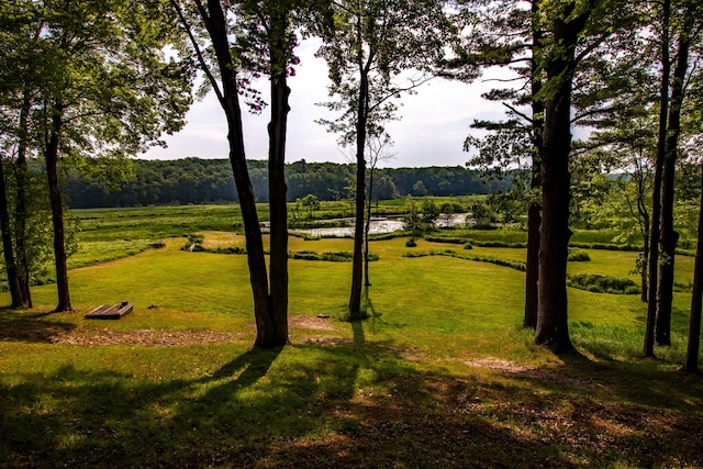 5774 N Wayne Ave, Pentwater, MI 49449 - surrounding community with a yard and a view of rural / pastoral area