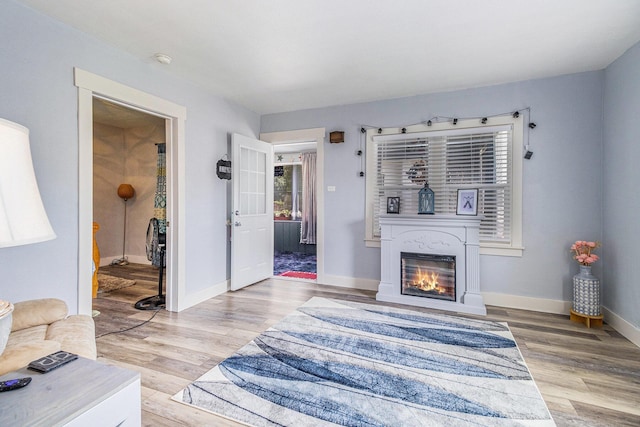 378 Goguac St W, Battle Creek, MI 49015 - living room with light wood-style floors and a glass covered fireplace