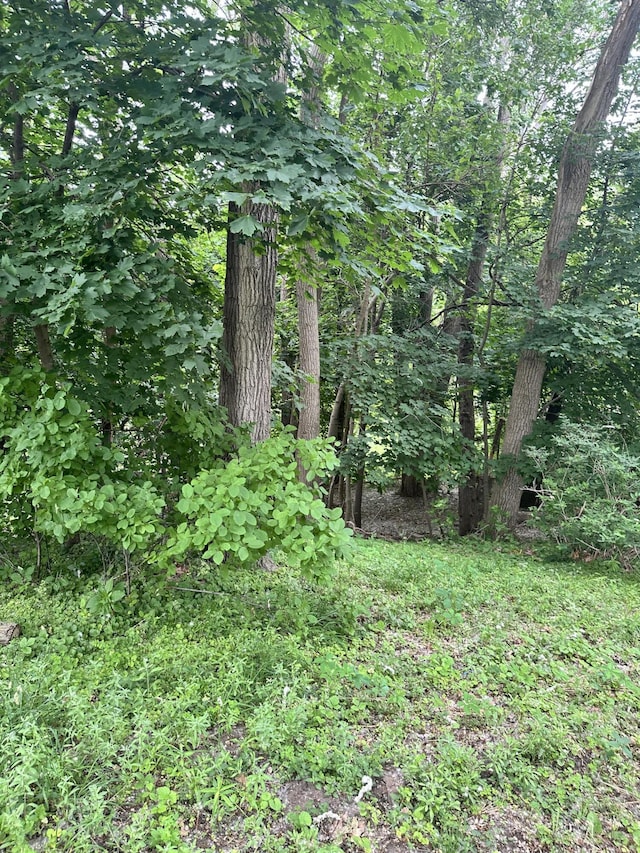 1478 Allen Ave, Muskegon, MI 49442 - view of local wilderness