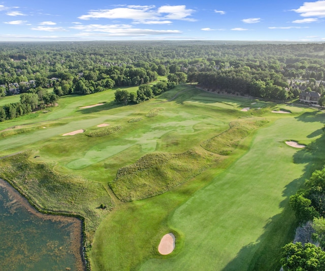 5011 Rockaway Ln, Clarkston, MI 48348 - aerial view of property's location featuring a heavily wooded area