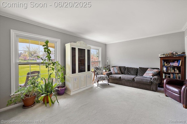 4160 Dawn Ln, West Bloomfield, MI 48323 - carpeted living area featuring ornamental molding and baseboards