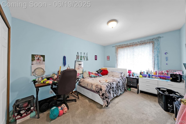 2102 Oakwood Rd, Ortonville, MI 48462 - bedroom featuring carpet