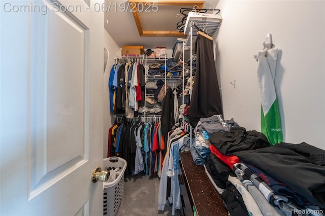 2102 Oakwood Rd, Ortonville, MI 48462 - spacious closet with carpet floors