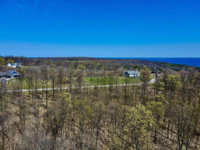 1919 N Blue Water Ct, Suttons Bay, MI 49682