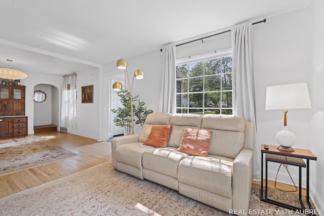 537 Graafschap Rd, Holland, MI 49423 - living area featuring arched walkways and wood-type flooring