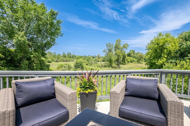 4693 Blossom Hill Trl, Ann Arbor, MI 48108 - photo 57