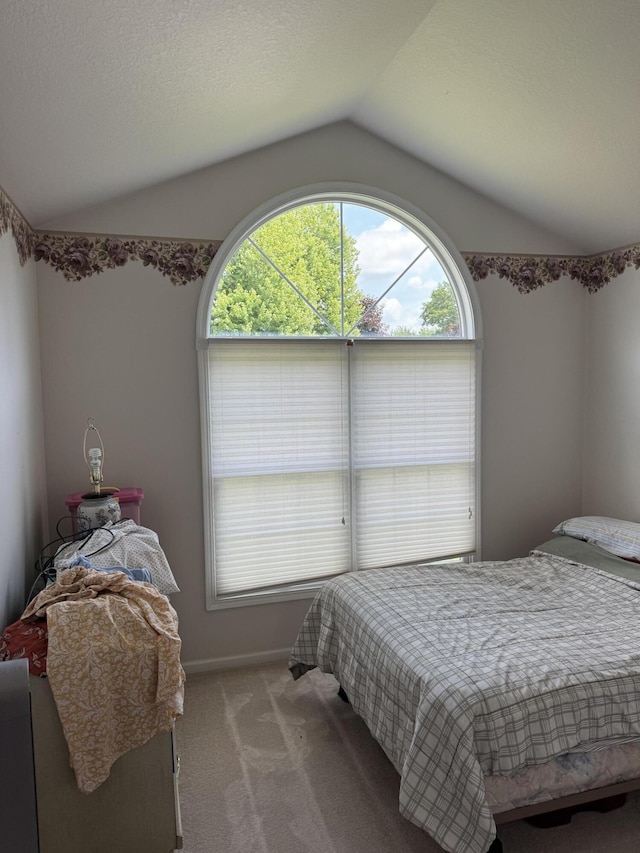 233 Hatch Ave, Coldwater, MI 49036 - bedroom featuring vaulted ceiling and carpet floors