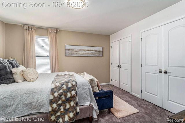 8757 Grove St, Washington, MI 48094 - carpeted bedroom with multiple closets and baseboards